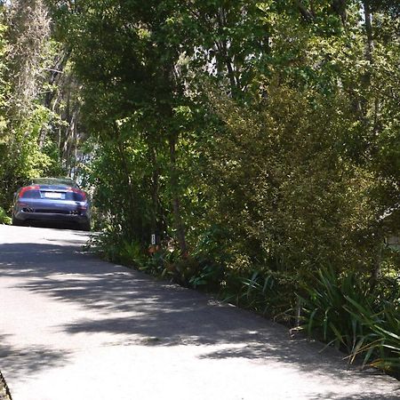 Bay Of Islands Holiday Apartments Paihia Quarto foto